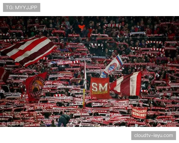 保加利亚球迷热情助威，团结一心力挺国家队